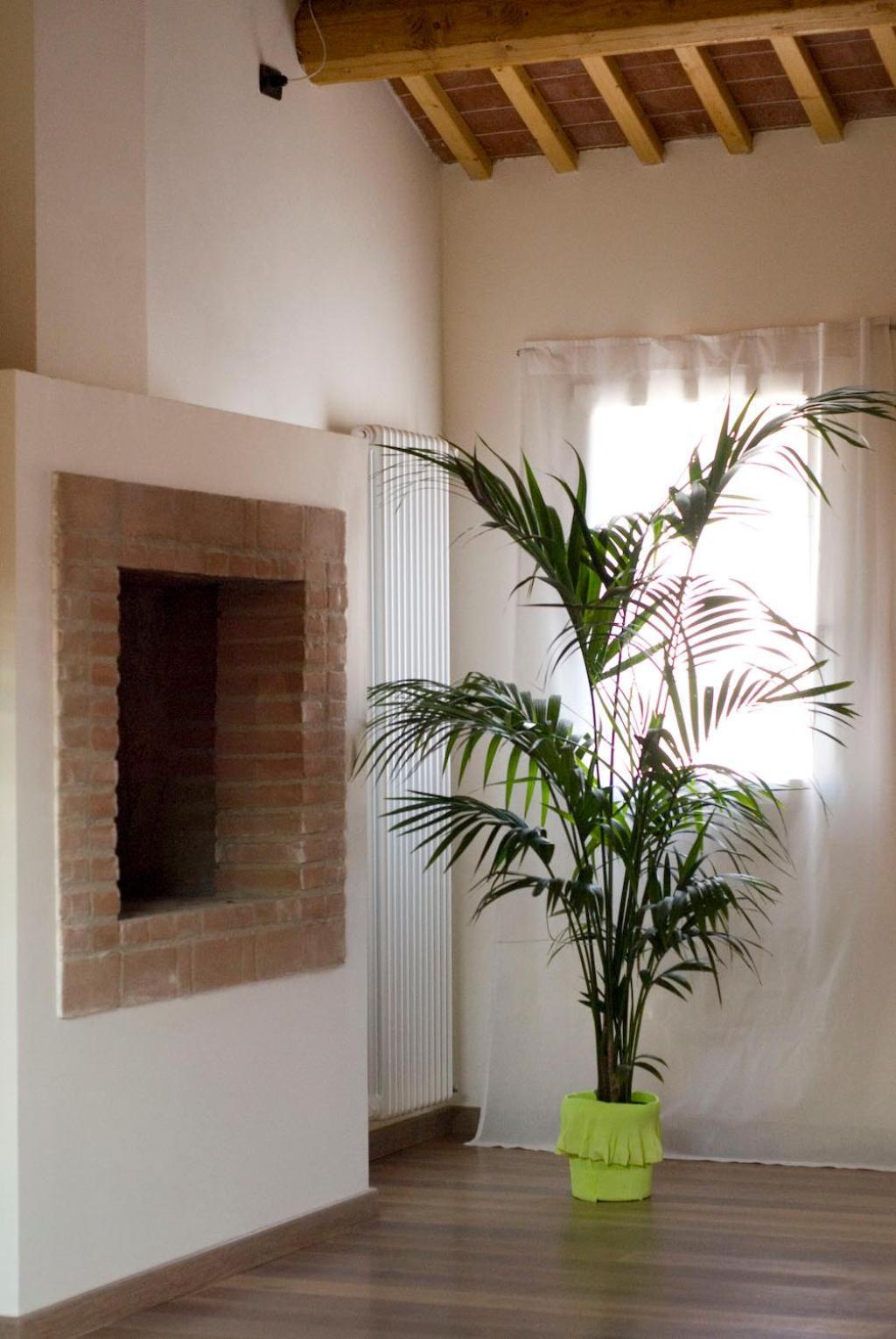 B&B Cittabella Cittadella Extérieur photo